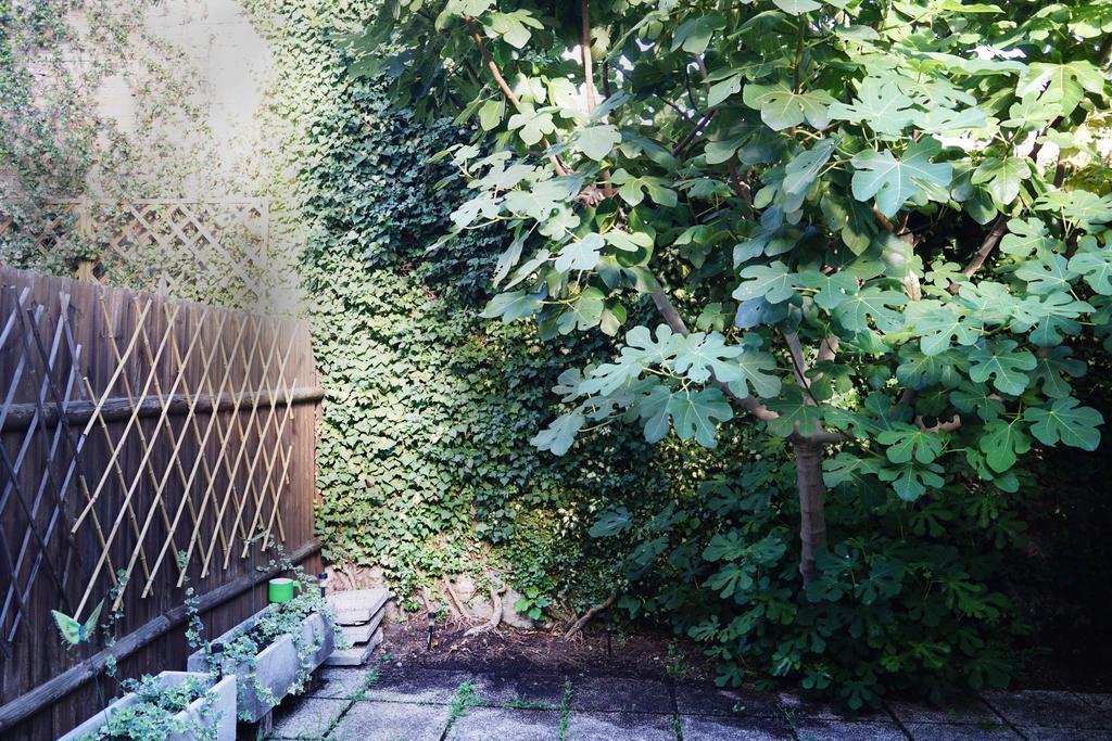 La Maisonette Et Son Jardin Венеция Екстериор снимка